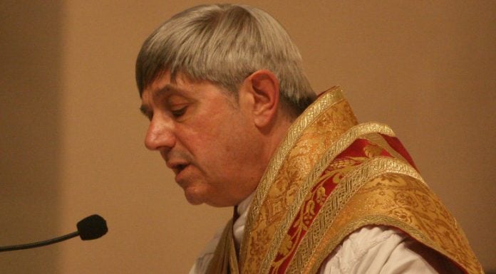 ¿Puede la Iglesia Católica ser la campeona contra las fuerzas del liberalismo secular militante?