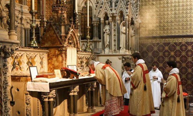 Lo que un párroco y su coadjutor han estado haciendo durante la pandemia