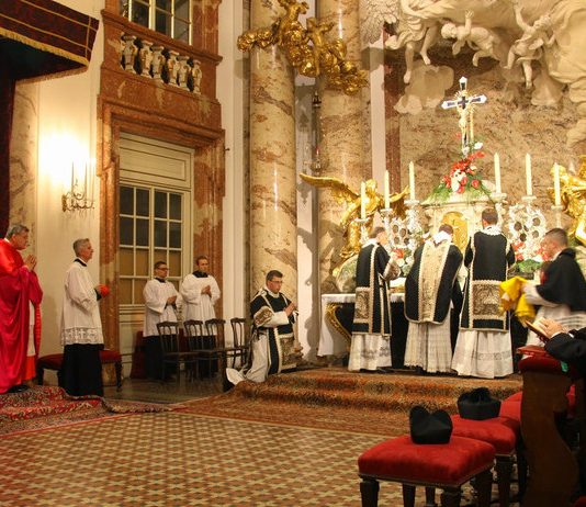 Cardenal Burke. Fotos y Vídeo de la Misa Solemne en Viena