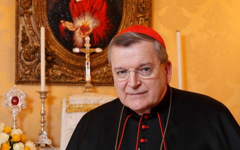 El Cardenal Burke advierte de la agresividad de la agenda homosexual