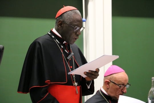 El Prefecto de Culto Divino pide a todos los sacerdotes que empiecen a celebrar la Misa «ad Orientem»