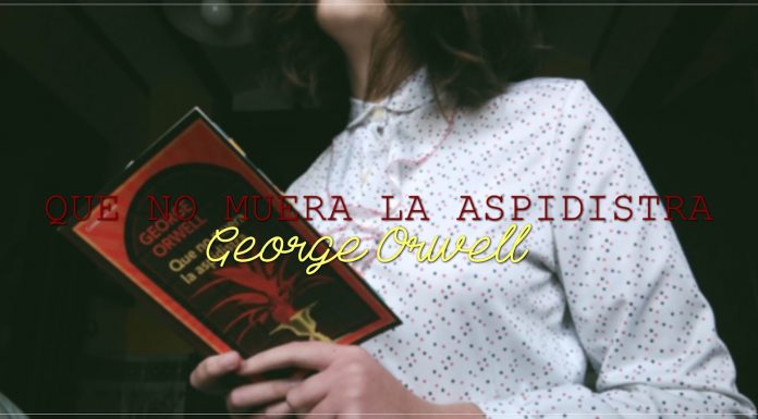 Lecciones de la Literatura