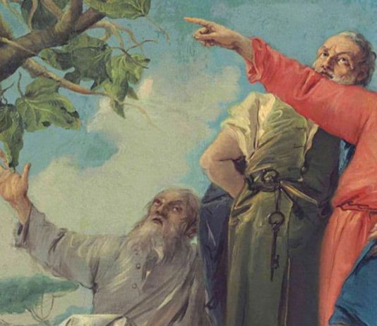 Al árbol se le juzga por sus frutos