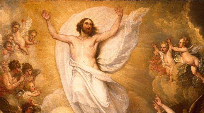 Evangelización pervertida = perros mudos