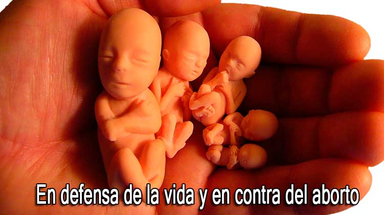 Solidaridad con Infovaticana y con Monseñor Reig Pla