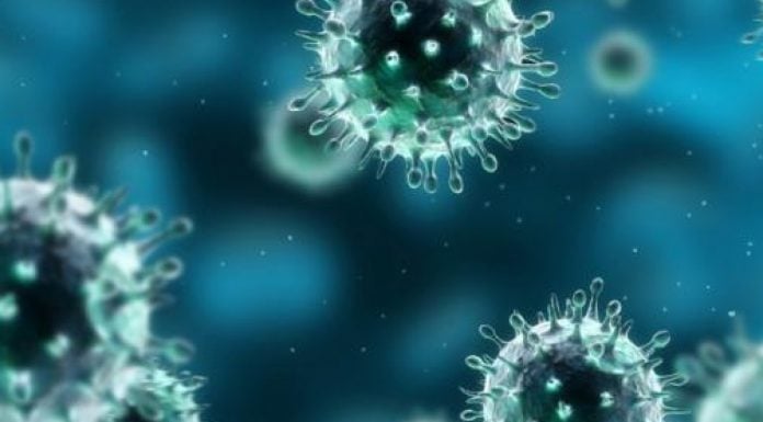 Virus en el Cuerpo de Cristo: Un obstáculo para la restauración eclesial