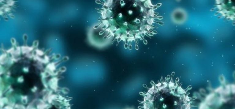 Virus en el Cuerpo de Cristo: Un obstáculo para la restauración eclesial