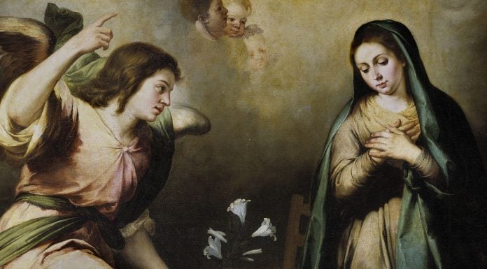 María Mediadora, Corredentora y Dispensadora de todas las gracias
