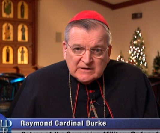 El card. Burke responde las dudas (no como otro que se hace el oso)