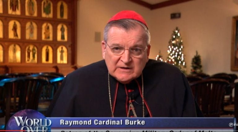 El card. Burke responde las dudas (no como otro que se hace el oso)