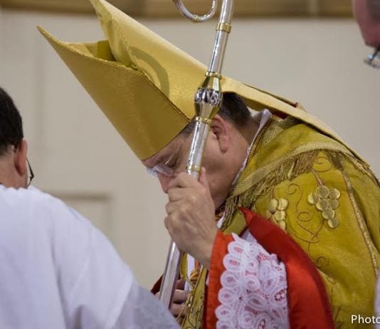 El cardenal Burke sugiere al Papa no tocar en 2015 los temas sensibles