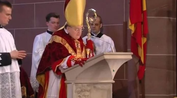 Cardenal Burke: un león en el desierto