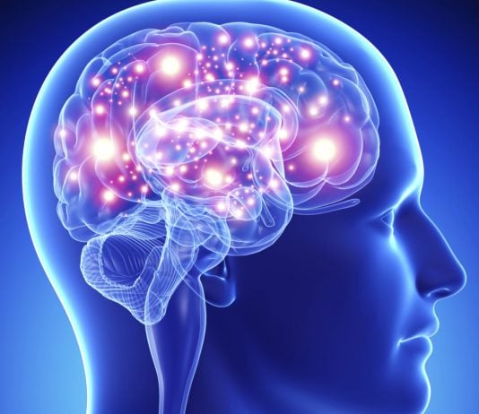La biología prima sobre la ideología