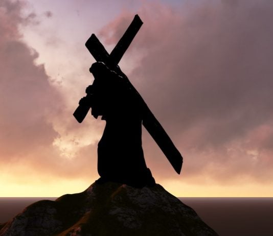 Cuentos con moraleja: «El valor del sacrificio»