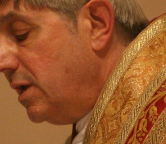 Homilía: “No temas” (Padre Cipola)