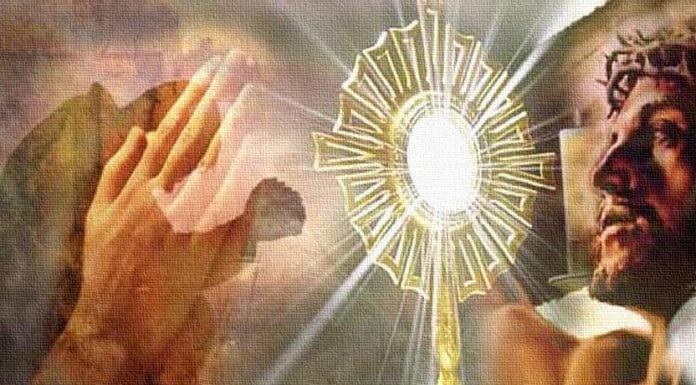 Para crecer en santidad (VII): Los pilares: La Eucaristía