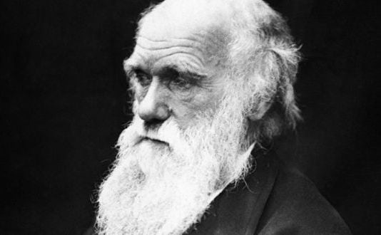 El evolucionismo al descubierto: La clave del misterio de la vida