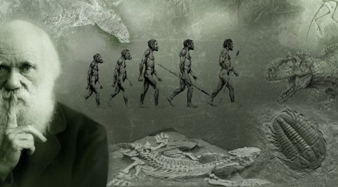Evolución y el planeta neocatólico de los simios