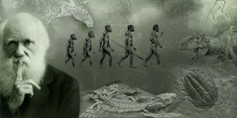 Evolución y el planeta neocatólico de los simios