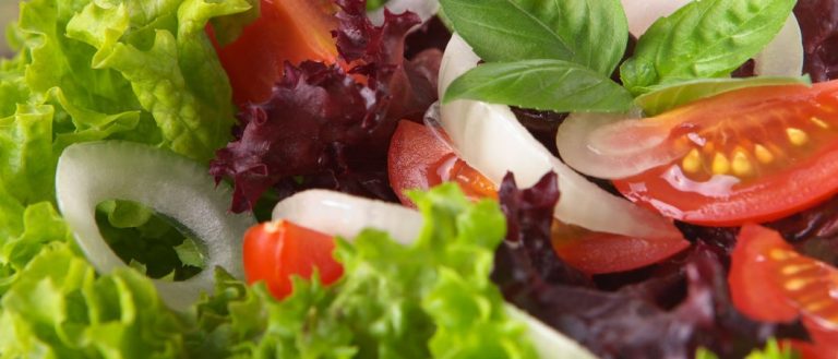 Ensalada Verde, sobre la nueva encíclica de Francisco