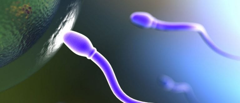 Matrimonio, contracepción y regulación natural de los nacimientos
