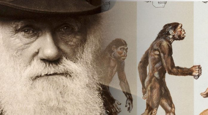 Un reto para los evolucionistas