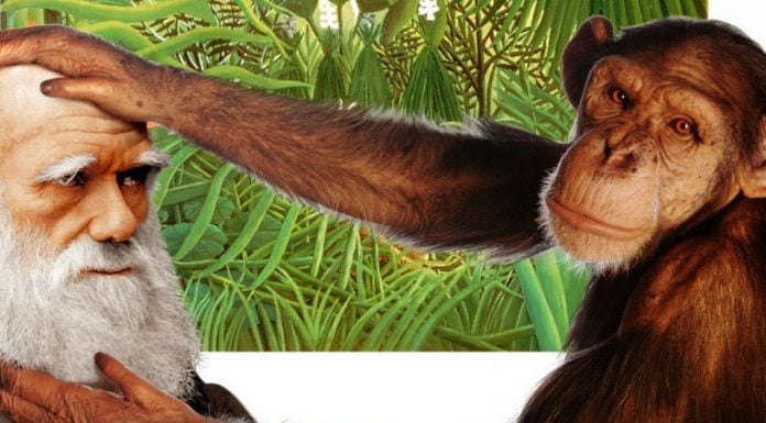 Cuando la ciencia se convierte en religión