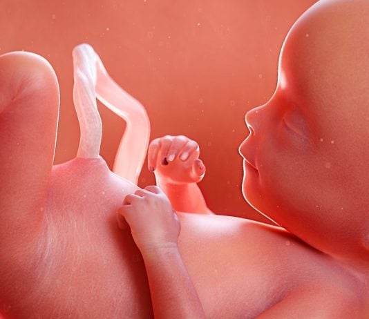 La gravedad cuasi infinita del aborto