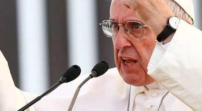 Los cardenales Burke, Brandmüller y Müller, y el papa dictador