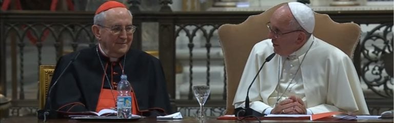 ¿El papa Francisco está perdiendo la cabeza? (Oren por el Santo Padre)