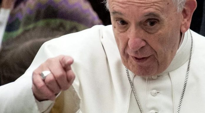 La Pastoral del insulto