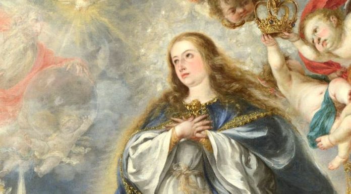 Homilía: Festividad de la Inmaculada Concepción (audio)