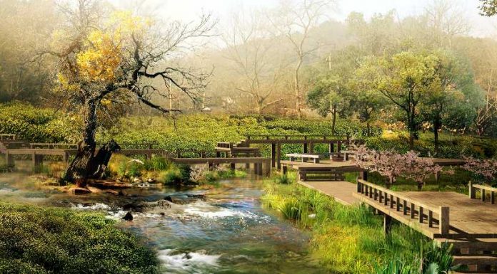 Para crecer en santidad (y XIV): Los jardines