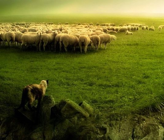 Parábola del pastor perdido