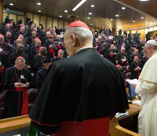 Sombras inquietantes sobre la Relatio Synodi