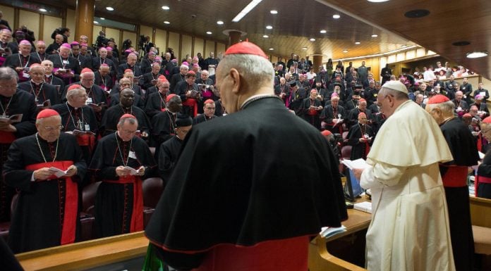 Sombras inquietantes sobre la Relatio Synodi