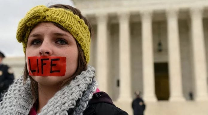 Unas palabras sobre el efecto del feminismo en el movimiento provida