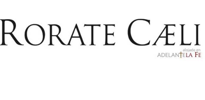 ¿Sabes inglés? Colabora traduciendo Rorate Caeli