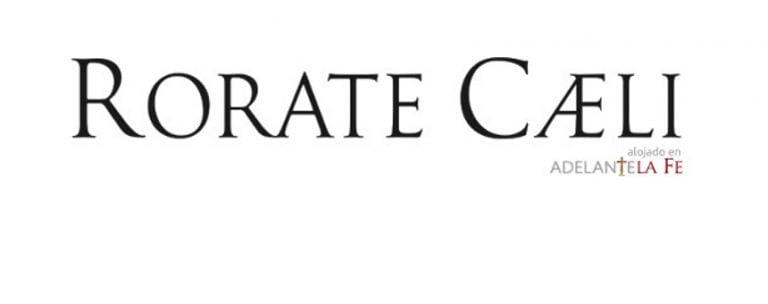 ¿Sabes inglés? Colabora traduciendo Rorate Caeli