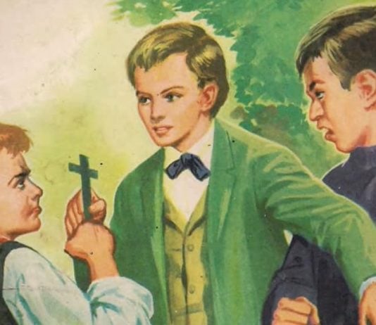 Santo Domingo Savio (PDF una joya para niños y adultos)