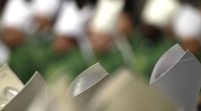 ¿Sínodo de la familia o despotismo a la católica?