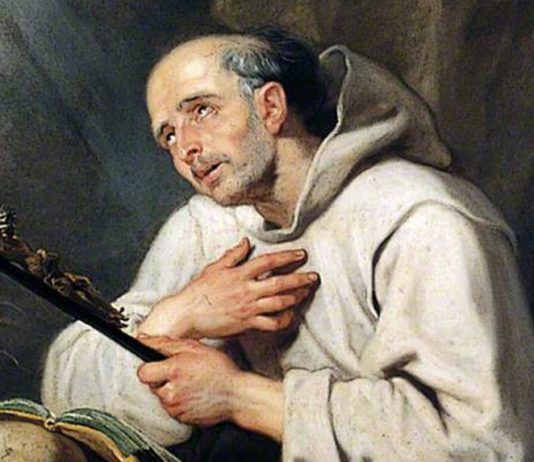 Amor a la soledad