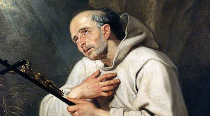 Amor a la soledad