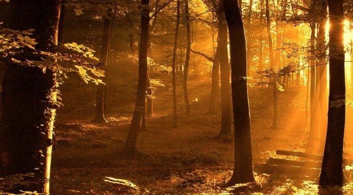 La Mística y la Poesía (III)