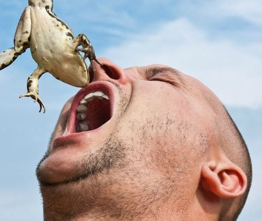 Cuidado con no tragarse el sapo del Sínodo (republicado y actualizado)