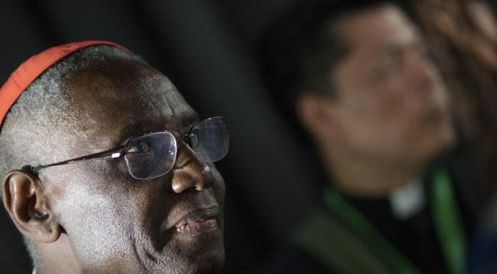 Contra el cardenal Sarah: los frutos amargos y nocivos de la ideología