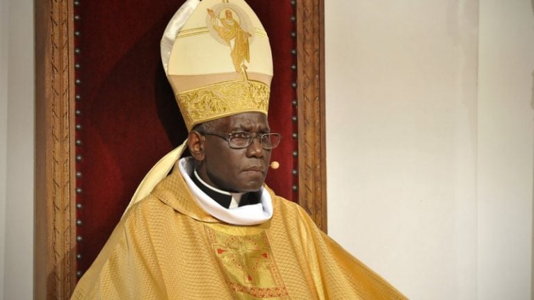 El cardenal Sarah y la hermenéutica de la reforma en la continuidad