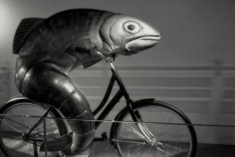 El pescado y la bicicleta