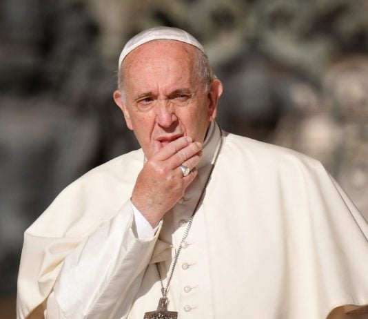 Pero… ¿el Papa cree en Jesucristo Dios y Hombre?