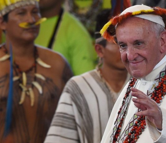 Querida Amazonia: consecuencias de un esperado viraje que no fue